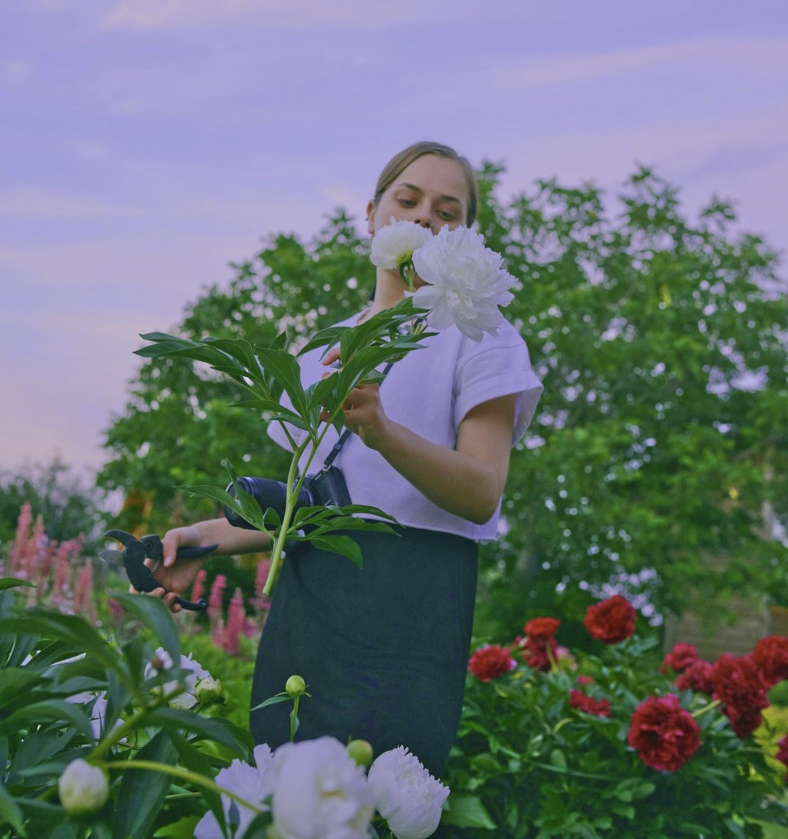 Hands on healing, gardening as therapy here at Sobriety.ca Foundation